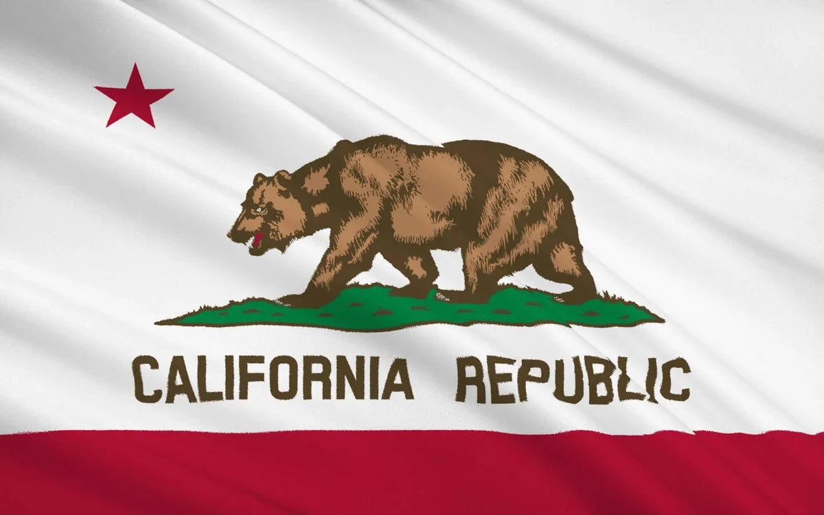 California state flag with bear and red star